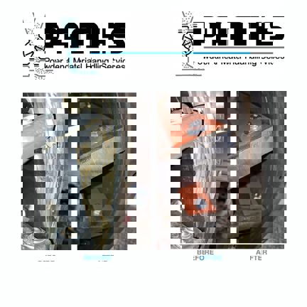 Restoring Life to a Worn AL250 Rotary Valve